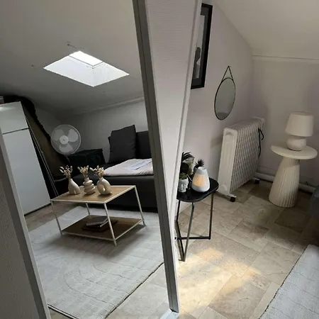 Cosy- Centre Appartement